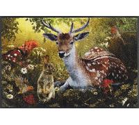 wash+dry Tapis de Sol, Forest Whisper 50x75cm, intérieur et extérieur, Lavable