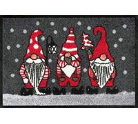 wash + dry Tapis de Sol, Winterzwerge 40x60cm, intérieur et extérieur, Lavable