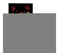 Washable Fake Blood Spray Set, Realistic Red Liquid Sfx Makeup for Costume Cosplay, Splatter Decoration for Clothes, Halloween Dress Up, Haunted House Scenes, 1 Set