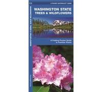 Washington State Trees amp Wildflowers A Folding Pocket Guide to Familiar Species Kavanagh (Auteur)