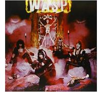 Wasp