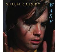 Wasp