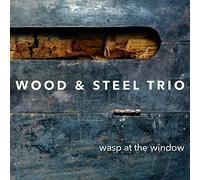 Wasp at The Window/Wood & Steel Trio