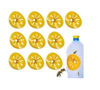 Wasp Trap Pack of 10 Eco-Friendly DIY Traps for Wasps, Hornets, Flies and Flying Insects Turn Your Plastic Bottles Into Traps