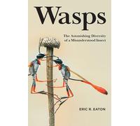 Wasps: The Astonishing Diversity of a Misunderstood Insect