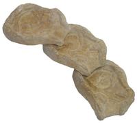 wasserkaskaden Cascade Eder Ruissellement sur 3 étages de 53 x 40 x 8 cm chacun, Beige/Brun, 3 pièces