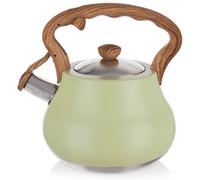 Wasserkocher mit Pfeife aus Stahl GREENISH 3 l