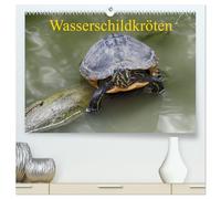 Wasserschildkröten (hochwertiger Premium Wandkalender 2026 DIN A2 quer), Kunstdruck in Hochglanz: Die europäische Sumpfschildkröte als auch die ... nebeneinander in freier Natur in Europa