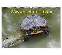 Wasserschildkröten (Wandkalender 2026 DIN A2 quer), CALVENDO Monatskalender: Die europäische Sumpfschildkröte als auch die eingeführte ... nebeneinander in freier Natur in Europa