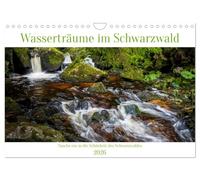 Wasserträume im Schwarzwald (Wandkalender 2026 DIN A4 quer), CALVENDO Monatskalender: Wasserschauplätze im Schwarzwald