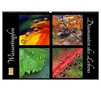 Wassertropfen - Diamanten des Lebens (Wandkalender 2026 DIN A2 quer), CALVENDO Monatskalender: Wassertropfen, lupenrein auf Blüten und Blättern