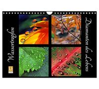 Wassertropfen - Diamanten des Lebens (Wandkalender 2026 DIN A4 quer), CALVENDO Monatskalender: Wassertropfen, lupenrein auf Blüten und Blättern