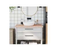 vidaXL Comptoir de salle de bain 100x50x4 cm bois massif de hêtre