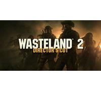 Wasteland 2: Directors Cut (PC)