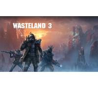 Wasteland 3