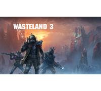 Wasteland 3