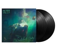 Wasteland Baby ! Vinyle