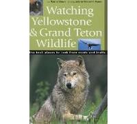 Watching Yellowstone & Grand Teton Wildlife
