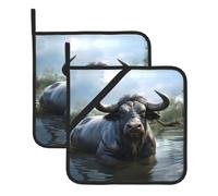 Water Buffalo Printing Lot de 2 maniques carrées résistantes à la chaleur 20,3 x 20,3 cm : tissus de qualité, anti-brûlure et faciles à nettoyer