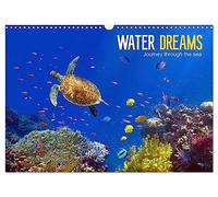 Water Dreams-journey through the sea (Wall Calendar 2026 DIN A3 landscape), CALVENDO 12 Month Wall Calendar: Water Dreams. Dive into the wonderful underwater world