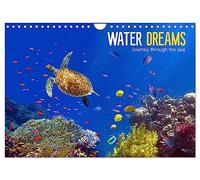 Water Dreams-journey through the sea (Wall Calendar 2026 DIN A4 landscape), CALVENDO 12 Month Wall Calendar: Water Dreams. Dive into the wonderful underwater world