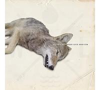 Water Liars - 7-Moon Over Madison [Import]