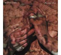 Water Liars - Phantom Limb [Import]