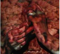 Water Liars - Phantom Limb [Import]