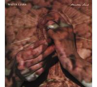 Water Liars Phantom Limb (Vinyl) 12" Album