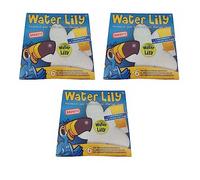 Water Lily - Lot de 18 fleurs absorbantes, contre les saletés grasses comme les huiles et les crèmes solaires dans l’eau de piscine, jacuzzis & spa