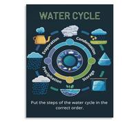 Water Movement Poster Freshwater Ecology Science Display