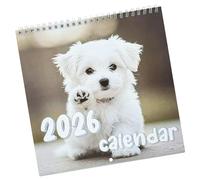 WATERBELINE Calendrier mural 2026 avec feuilles de papier enduit épaisses Couleurs colorées Facile à lire Dates Illustrations créatives Calendrier