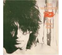 Waterboys - A pagan place
