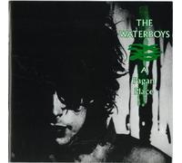 Waterboys - A Pagan Place [Import]