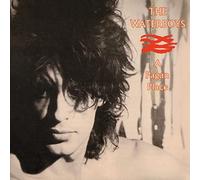 The Waterboys A Pagan Place (Vinyl) 12" Album