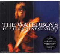 Waterboys – Is She Conscious