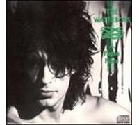 Waterboys - Pagan Place