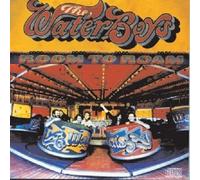 WATERBOYS - ROOM TO ROAM 2 CD NEUF