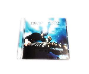 Waterboys, the - Rock in The Weary [Import]