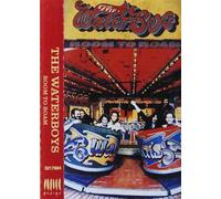 Waterboys,the - Room to Roam [Musikkassette]