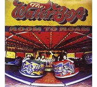 The Waterboys - Room to Roam (1990) [Import]