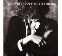The Waterboys – This Is The Sea