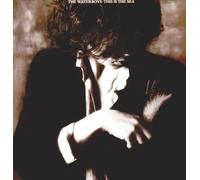 Waterboys - This is The Sea [Import]