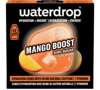 Waterdrop Microenergy Hydratation Et Énergie Mango Boost 12 Cubes