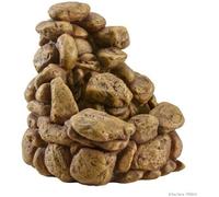 Waterfall Cascade - EXO TERRA - Grand - Pour lézard - Augmente l'humidité - Apparence naturelle