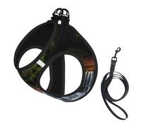 Waterfall View Ensemble harnais et laisse doux pour animal de compagnie, harnais en maille réglable pour chiens et chats de petite, moyenne et grande taille