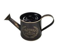 Watering Can - Farmhouse Metal Plant Watering Can with Handle