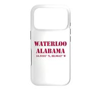Waterloo Alabama Coordonnées Souvenir Coque pour iPhone 17 Pro