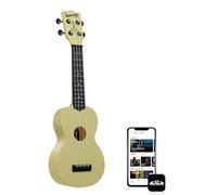 Waterman Starlight Yellow Glow-in-the-Dark Soprano