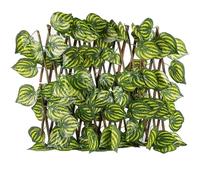 Watermelon Leaves Expandable Retractable Plastic Simulation Trellis Hedge Fence Screening Roll Expanding Fence cloture jardin(2 UK,40cm)